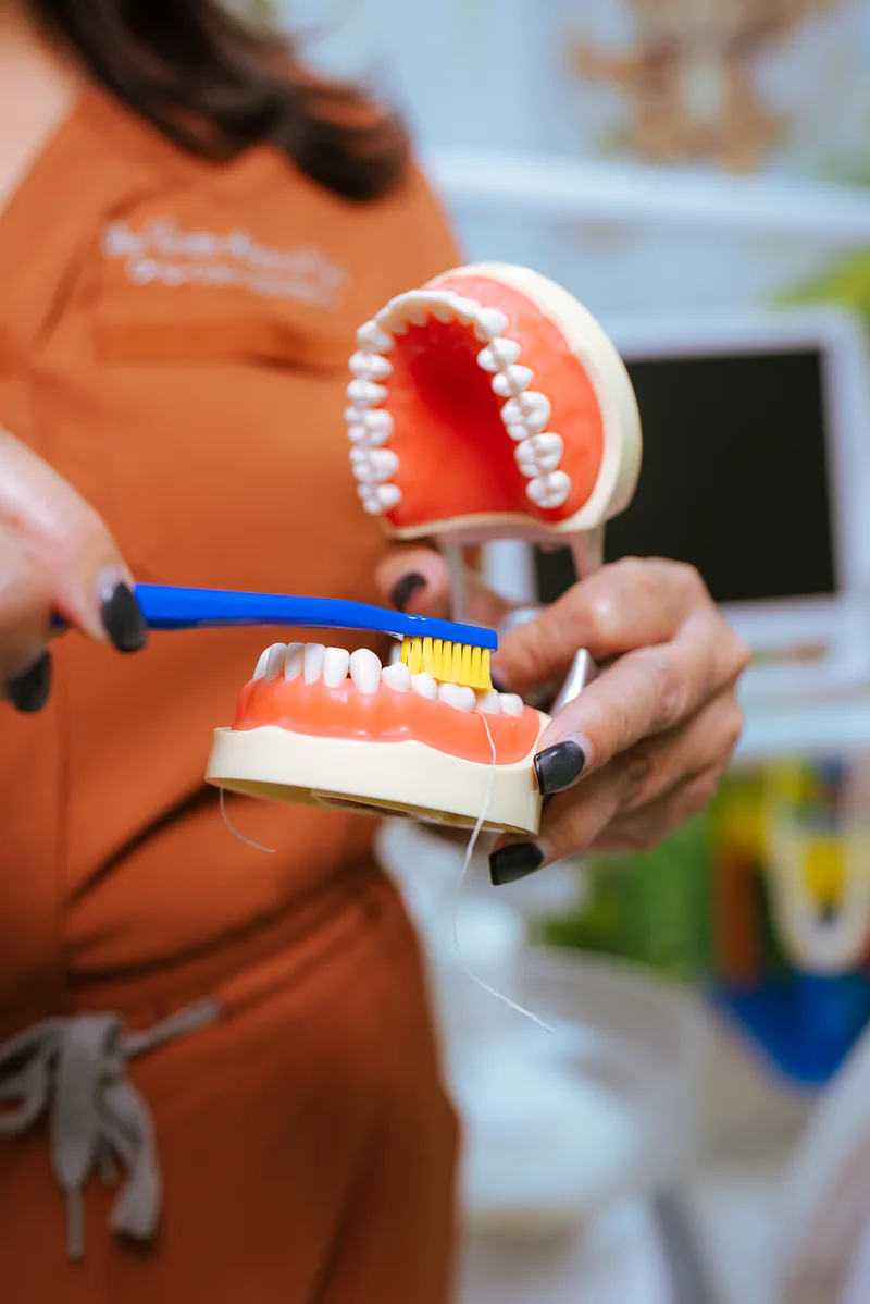 Un modelo dental y un cepillo para explicar el cuidado de los dientes.